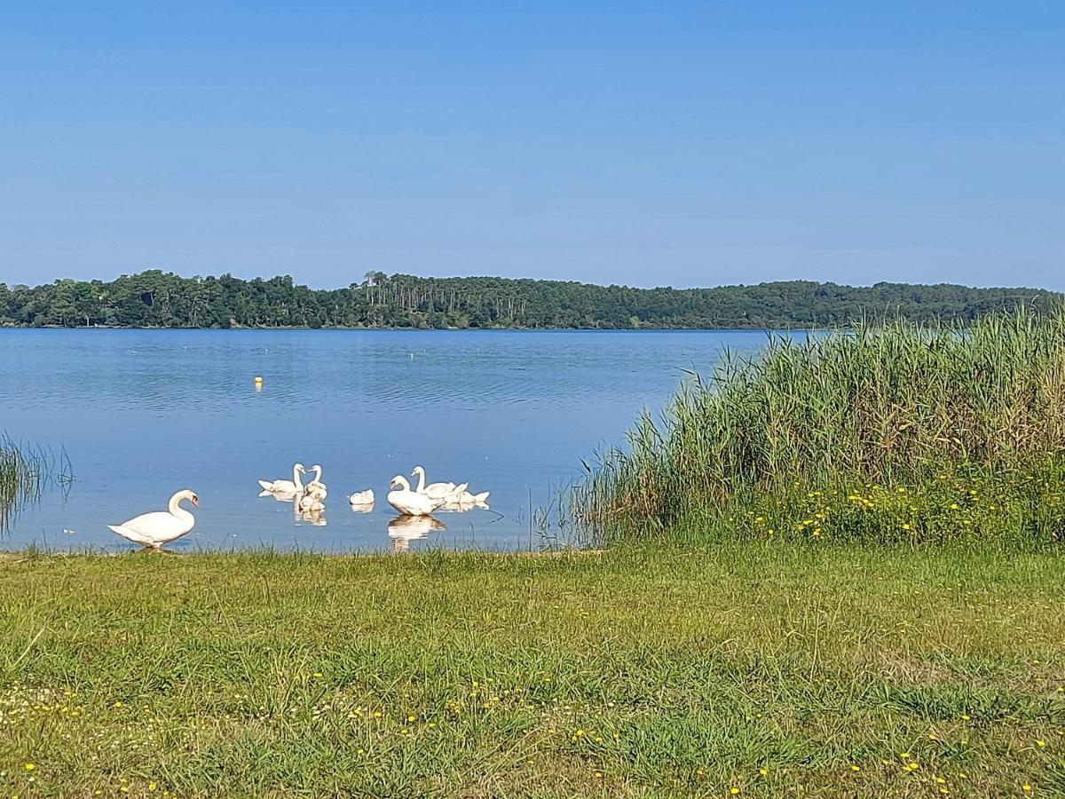 T2, 50M Du Lac, Piscine, Wifi, Jardin Terrasse Sans Vis-A-Vis, 1 A 4 Pers Aureilhan  ภายนอก รูปภาพ